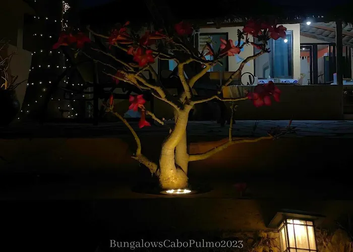 Bungalows Cabo Pulmo * Cabo Pulmo