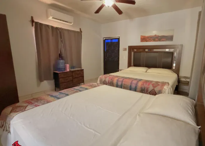Campsite Bungalows Cabo Pulmo