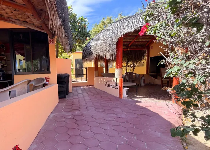 Campeggio Bungalows Cabo Pulmo Cabo Pulmo