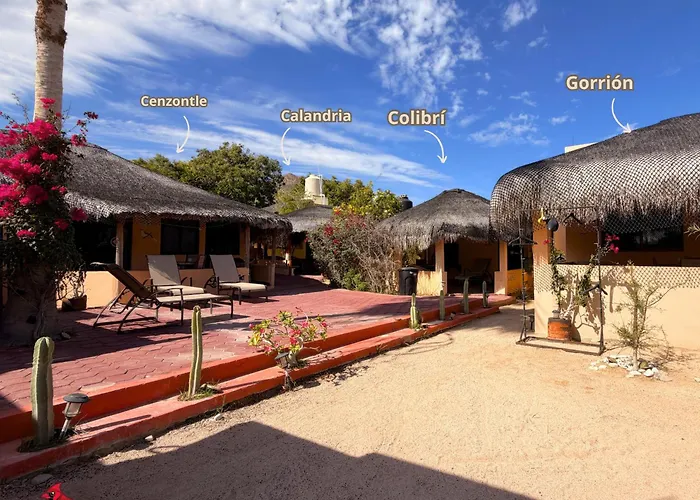 Campsite Bungalows Cabo Pulmo